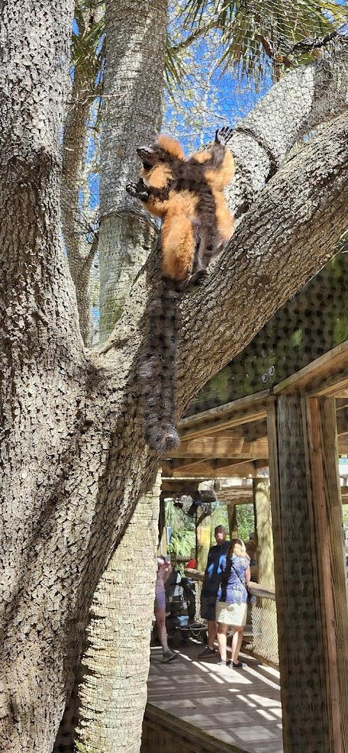Paws On Pizzeria